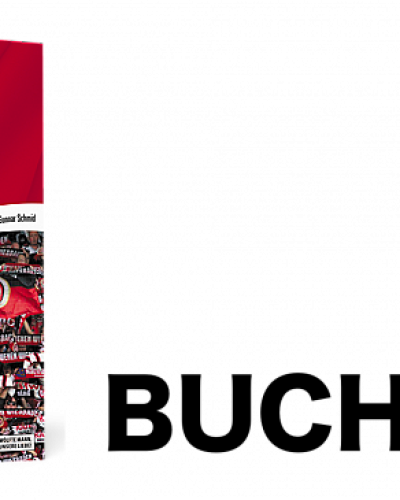 Buchtipp: 111 Gründe, den SV Wehen Wiesbaden zu lieben