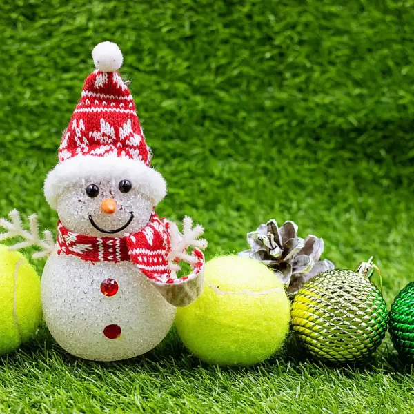 Tips for Organizing a Christmas Party with Your Sports Team