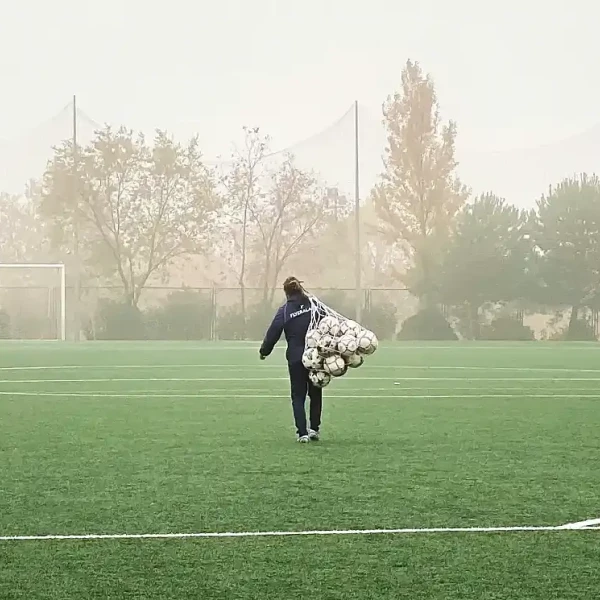 Wie kann ich Profi-Trainer im Fussball werden?