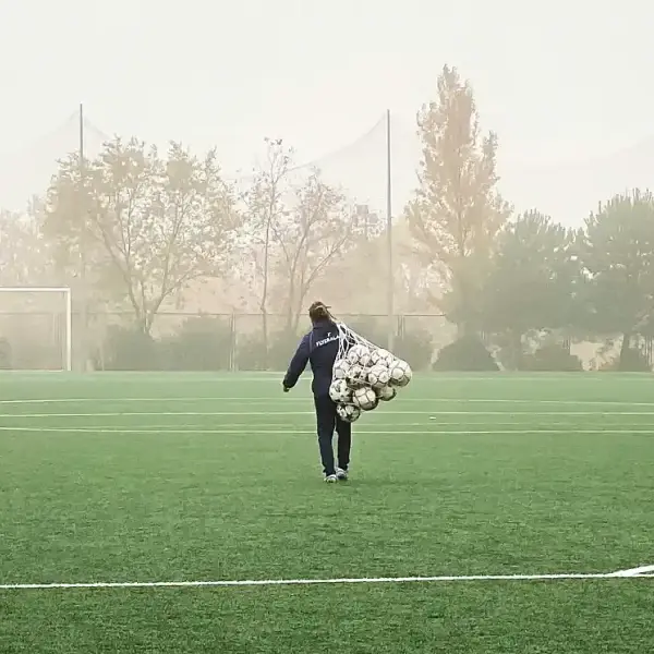 Wie kann ich Profi-Trainer im Fussball werden?